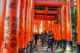 Đền Fushimi Inari