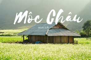 MAI CHÂU - MỘC CHÂU - CẦU KÍNH BẠCH LONG 3N2Đ