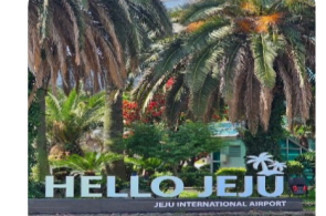 HÀN QUỐC 6N5Đ SEOUL- ĐẢO JEJU- DU THUYỀN ĐẢO UDO- ECO LAND THEME PARK JEJU-BÃI BIỂN HAMDEOK- HONGDEA STREET- ĐẢO NAMI- THÁP NAM SAN