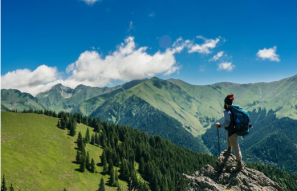 Dã quỳ phủ vàng sườn đồi ngoại thành Đà Lạt