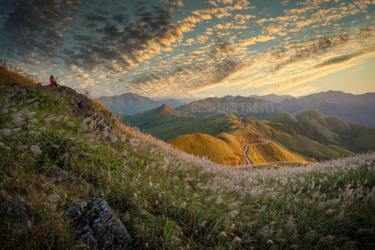 Khám Phá Bình Liêu: Sống Lưng Khủng Long & Biển Cỏ Lau Trắng Xoá Thơ Mộng