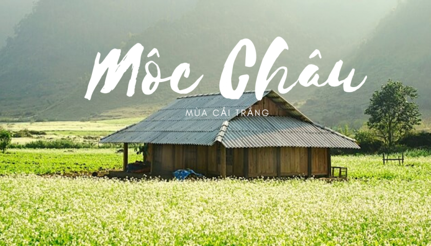 MAI CHÂU - MỘC CHÂU - CẦU KÍNH BẠCH LONG 3N2Đ