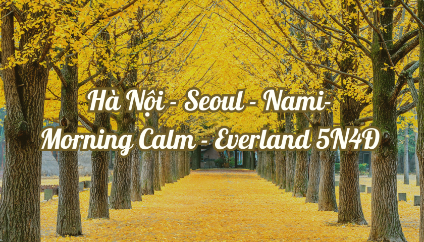 SEOUL - NAMI-MORNING CALM - EVERLAND 5N4Đ