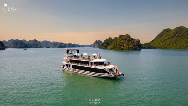 Du thuyền Iris Cruise: Tour Hạ Long 6h trong ngày